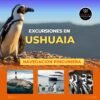 Navegación Pingüinera