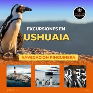 Navegación Pingüinera